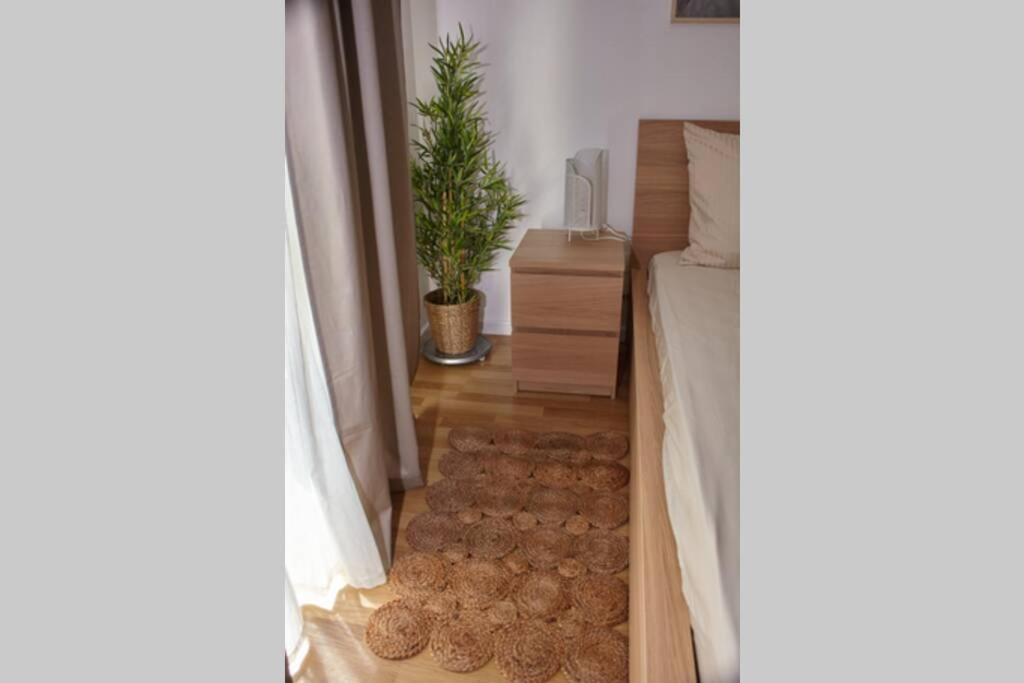 אמיינס La Vallee Des Hortillonages מראה חיצוני תמונה